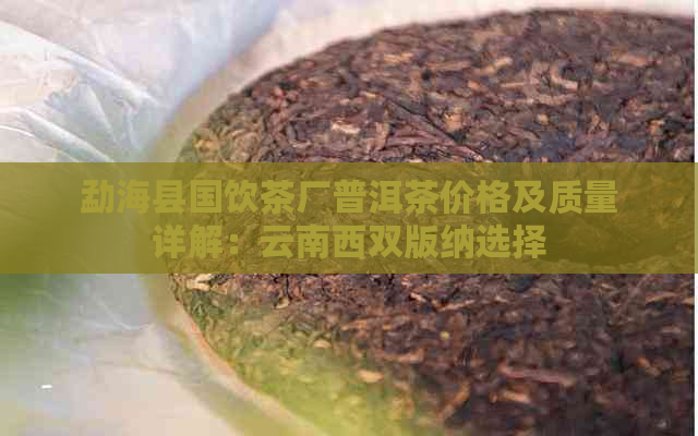 勐海县国饮茶厂普洱茶价格及质量详解：云南西双版纳选择