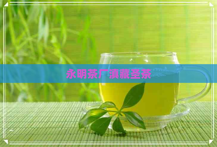 永明茶厂滇藏圣茶