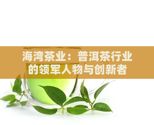 海湾茶业：普洱茶行业的领军人物与创新者