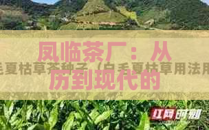 凤临茶厂：从历到现代的茶叶制作工艺与传承