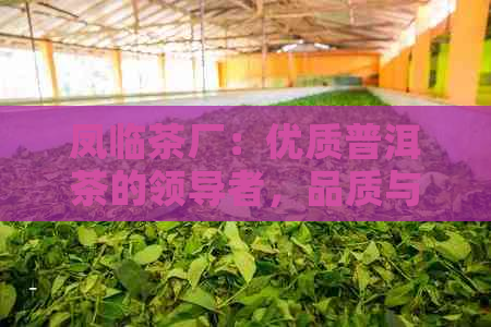 凤临茶厂：优质普洱茶的领导者，品质与口感的完美结合