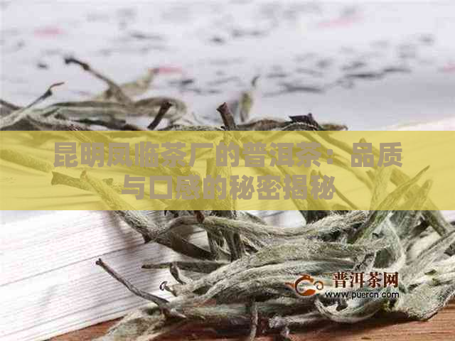 昆明凤临茶厂的普洱茶：品质与口感的秘密揭秘