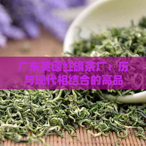 广东英德红旗茶厂：历与现代相结合的高品质茶叶生产基地