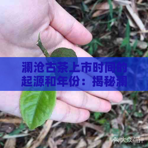 澜沧古茶上市时间的起源和年份：揭秘澜沧古茶何时开始市场流通