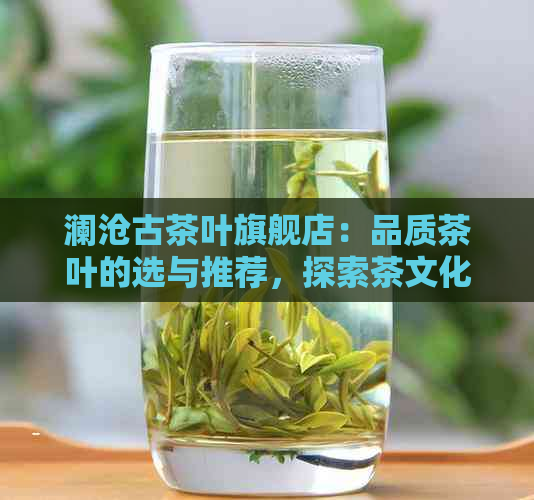 澜沧古茶叶旗舰店：品质茶叶的选与推荐，探索茶文化与品饮技巧