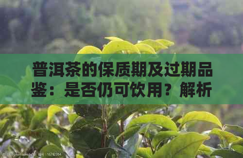 茶叶生产日期在哪（茶叶生产日期见标示在哪里看） 茶叶生产日期在哪（茶叶生产日期见标示在那边

看）《茶叶生产日期见标示在哪里看》 茶叶资讯