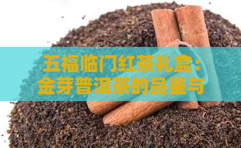 五福临门红茶礼盒：金芽普洱茶的品鉴与鉴