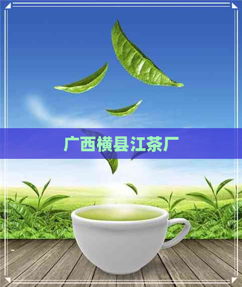 广西横县江茶厂