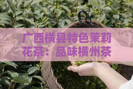 广西横县特色茉莉花茶：品味横州茶叶的文化与品质