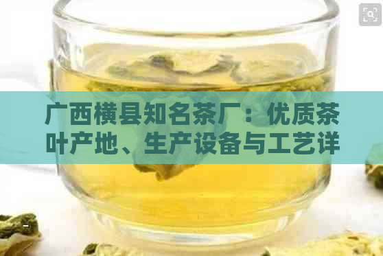 广西横县知名茶厂：优质茶叶产地、生产设备与工艺详解及茶叶品种推荐