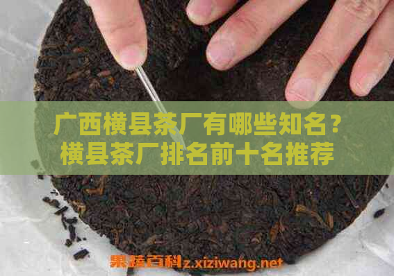 广西横县茶厂有哪些知名？横县茶厂排名前十名推荐