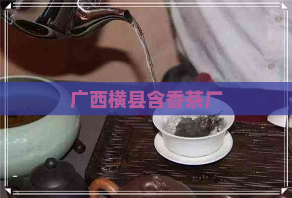 广西横县含香茶厂