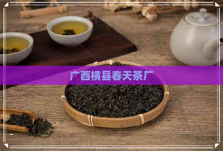 广西横县春天茶厂