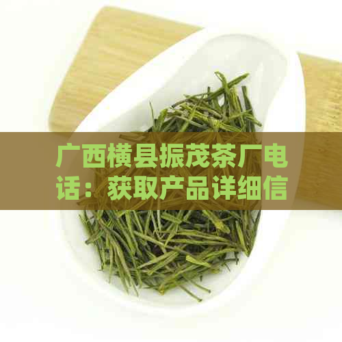 广西横县振茂茶厂电话：获取产品详细信息及订购方式