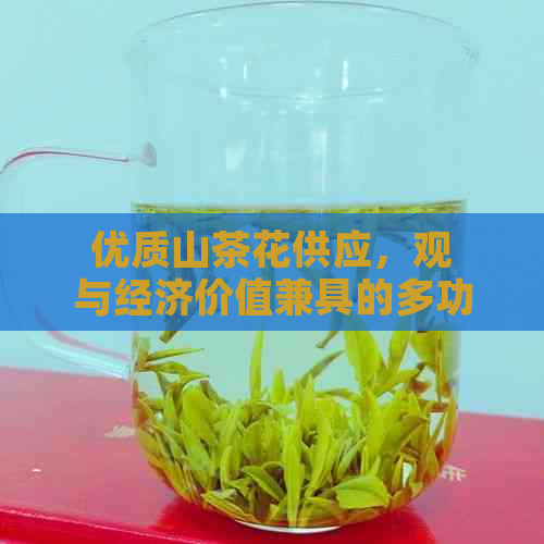 优质山茶花供应，观与经济价值兼具的多功能树种多少钱一棵？