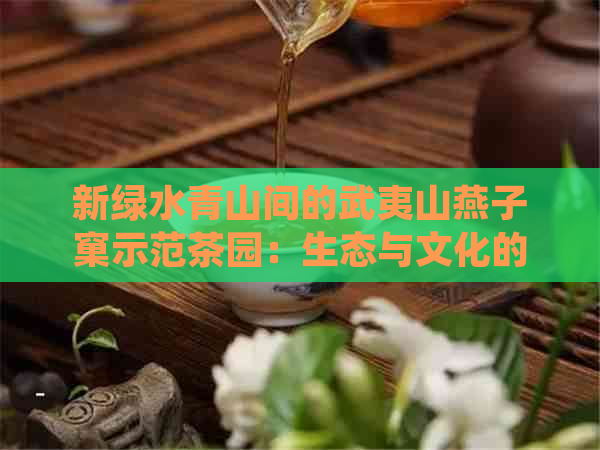 新绿水青山间的武夷山燕子窠示范茶园：生态与文化的完美融合