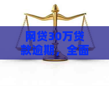 网贷30万贷款逾期，全面还款困难，是否会面临刑事责任？