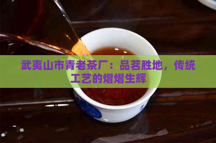 武夷山市青老茶厂：品茗胜地，传统工艺的熠熠生辉