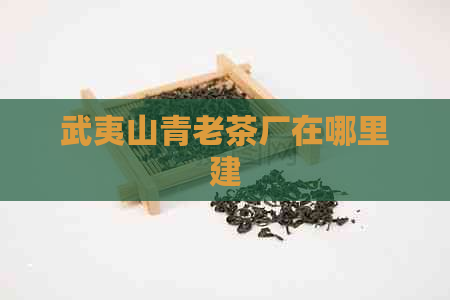 武夷山青老茶厂在哪里建