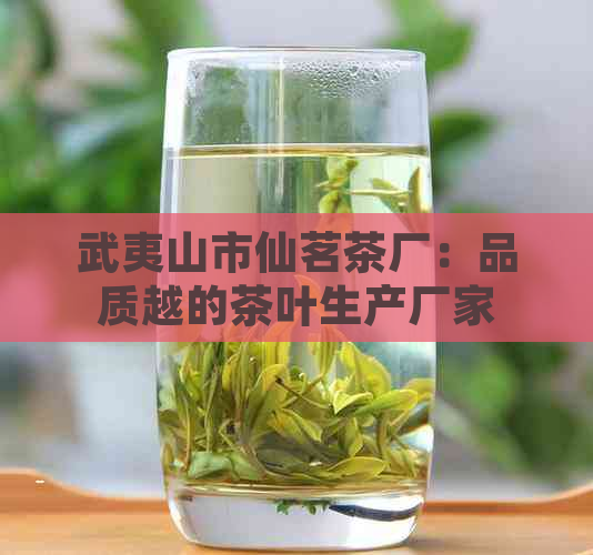 武夷山市仙茗茶厂：品质越的茶叶生产厂家，为您提供全方位的茶叶体验