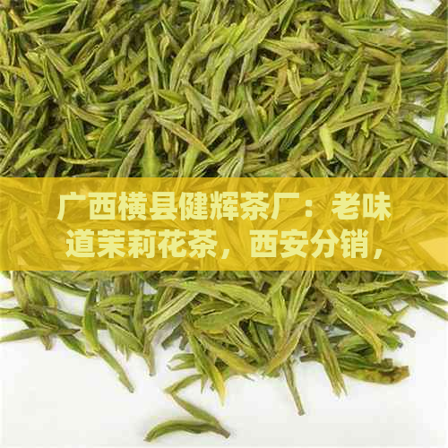 广西横县健辉茶厂：老味道茉莉花茶，西安分销，广西横县十大花茶厂。