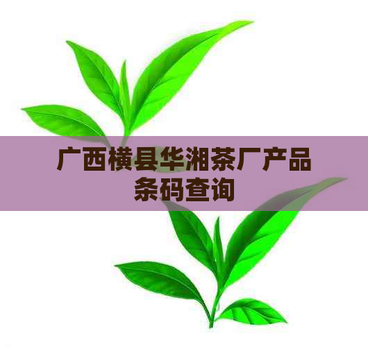 广西横县华湘茶厂产品条码查询