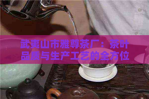 武夷山市雅尊茶厂：茶叶品质与生产工艺的全方位解析