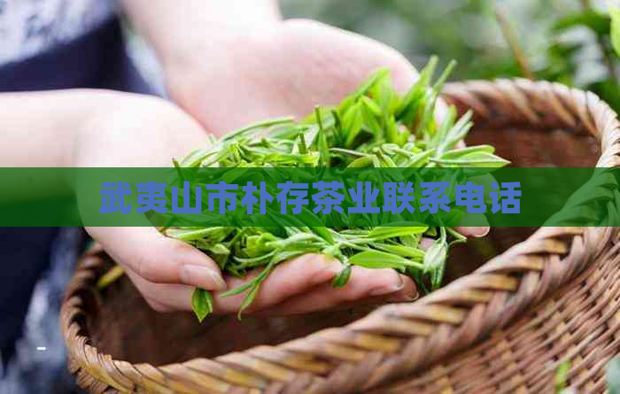 武夷山市朴存茶业联系电话