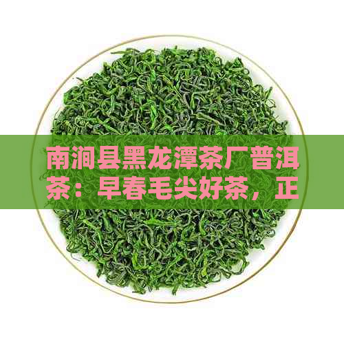 南涧县黑龙潭茶厂普洱茶：早春毛尖好茶，正宗价格，云南南涧彝族自治县制造