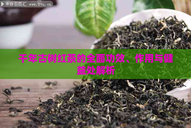 千年古树红茶的全面功效、作用与健益处解析