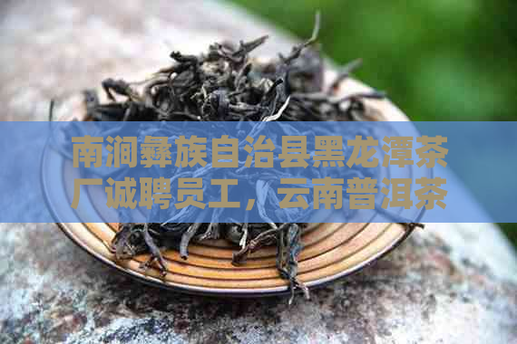 南涧彝族自治县黑龙潭茶厂诚聘员工，云南普洱茶制作与销售岗位