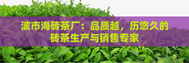 波市海砖茶厂：品质越，历悠久的砖茶生产与销售专家