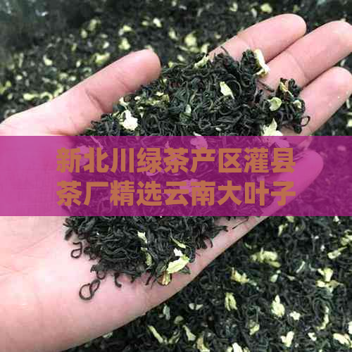 新北川绿茶产区灌县茶厂精选云南大叶子普洱茶