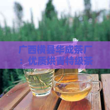 广西横县华成茶厂：优质烘青特级茶叶的产地、制作工艺与品质特点详解