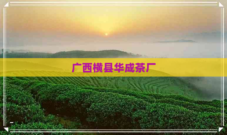 广西横县华成茶厂