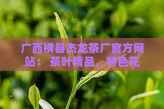 广西横县杰龙茶厂官方网站： 茶叶精品，特色花茶，优质服务与品质保证