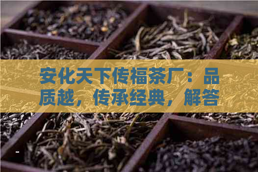 安化天下传福茶厂：品质越，传承经典，解答所有关于茶叶的疑问与需求