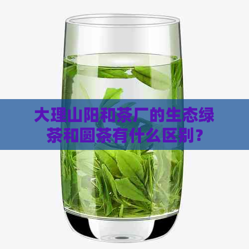 大理山阳和茶厂的生态绿茶和圆茶有什么区别？