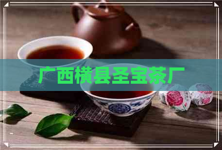 广西横县圣宝茶厂