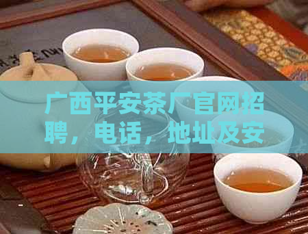 广西平安茶厂官网招聘，电话，地址及安清热排茶信息。