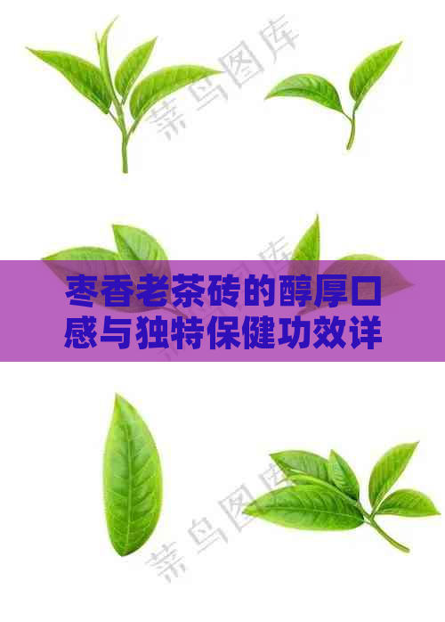 枣香老茶砖的醇厚口感与独特保健功效详解