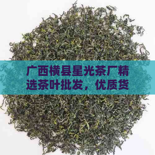 广西横县星光茶厂精选茶叶批发，优质货源，实价格，抢购市场先机