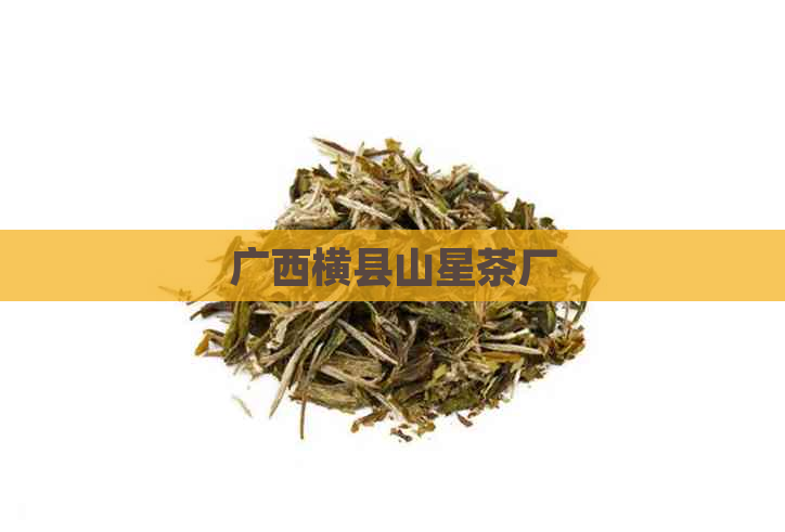 广西横县山星茶厂