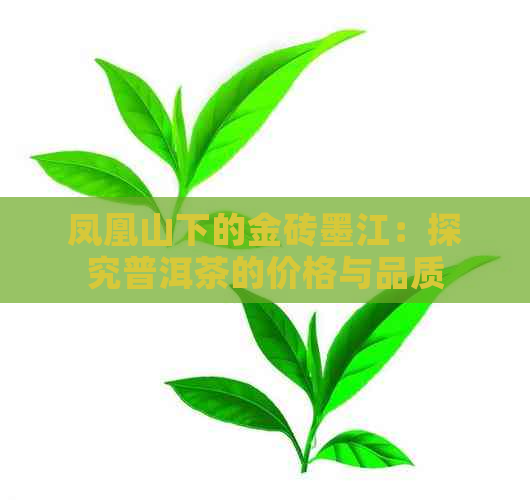 凤凰山下的金砖墨江：探究普洱茶的价格与品质