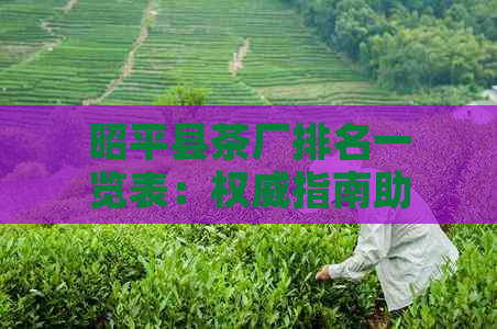 昭平县茶厂排名一览表：权威指南助您选购优质茶叶