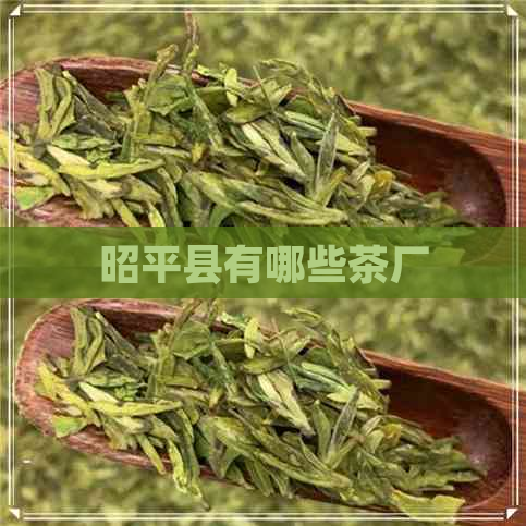 昭平县有哪些茶厂