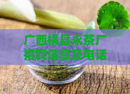 广西横县永茶厂招聘信息及电话，了解广西横县茶厂怎么样