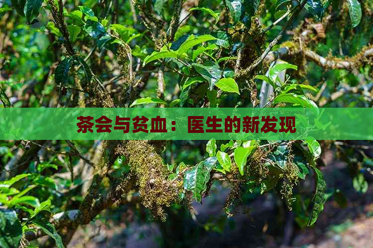 茶会与贫血：医生的新发现