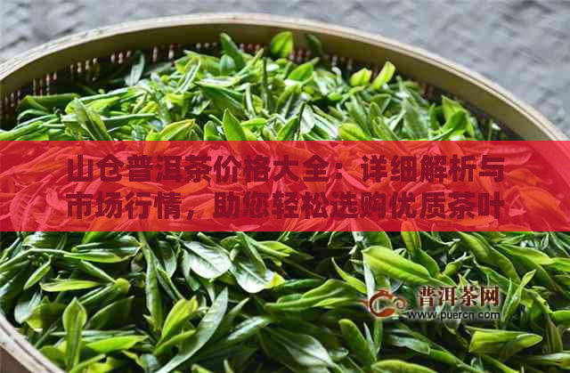 山仓普洱茶价格大全：详细解析与市场行情，助您轻松选购优质茶叶