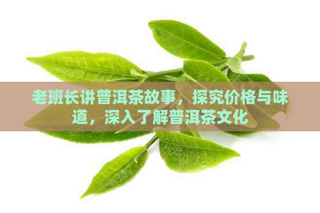 老班长讲普洱茶故事，探究价格与味道，深入了解普洱茶文化